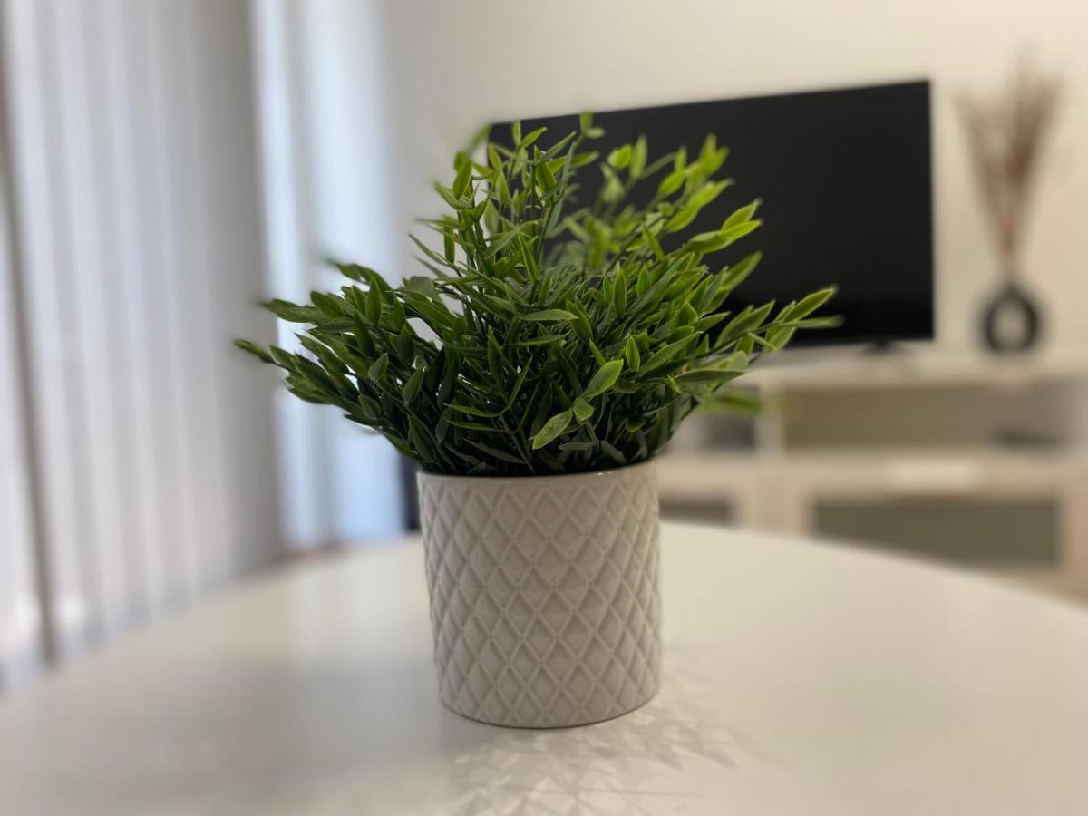Apartamento Borgia - גאנדיה מראה חיצוני תמונה
